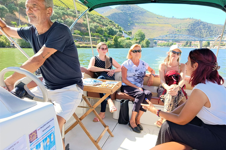 Porto: privétour door de Dourovallei met portproeverij en lunch