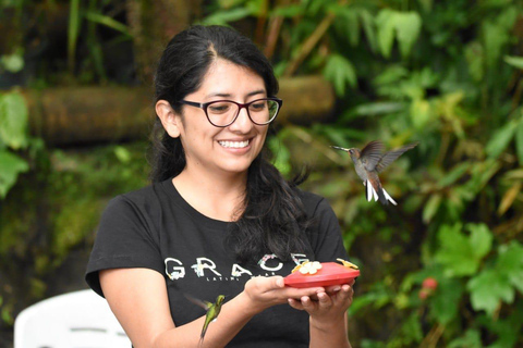 Mindo : &quot;Oiseaux, chocolat/café et chutes d&#039;eau&quot;.