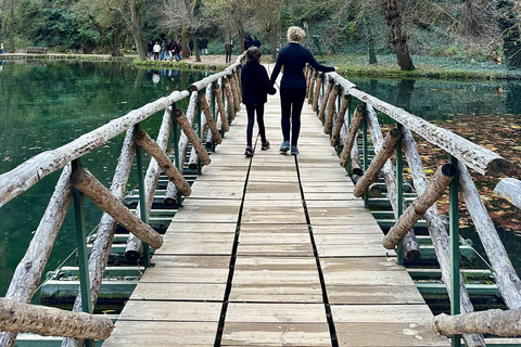 From Madrid: Discover the Monasterio de Piedra and the Kingdom of Aragon Explore the Stone Monastery and discover Sigüenza in a small group