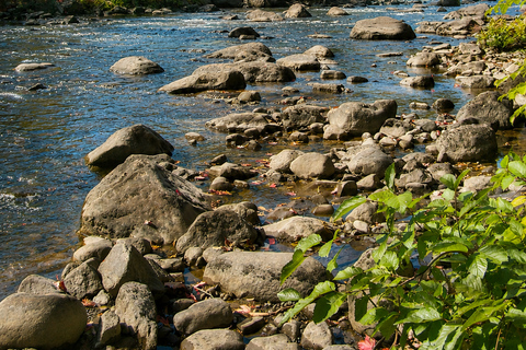Wendake: Private Indigenous Culture & Nature Experience Wendake: Private Indigenous Culture & Nature Experience (4h)