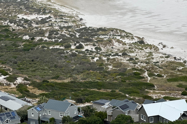 Kaapstad: Kaap de Goede Hoop &amp; Pinguïns Dagvullende tour met gids