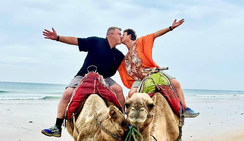 Visite privée de Tanger + balade à dos de chameau + option : Déjeuner marocain - dromadaire