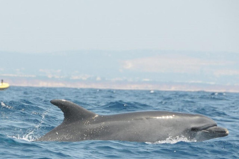 Jeep Safari &amp; rondvaart in Benagil