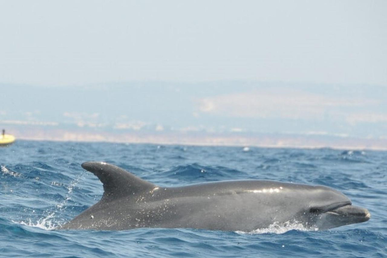 Jeep Safari &amp; rondvaart in Benagil