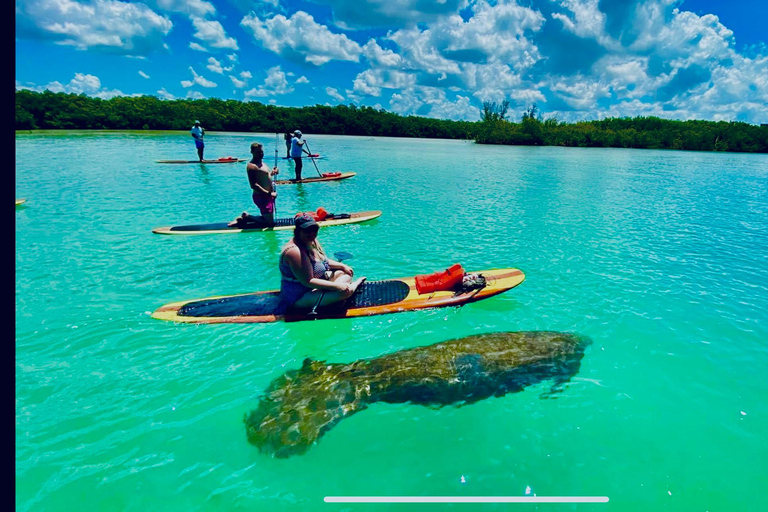 Naples, FL: Guided Standup Paddleboard or Kayak Tour Marco Island: Guided Standup Paddleboard or Kayak Tour