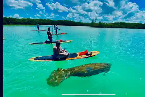 Naples, FL: Guided Standup Paddleboard or Kayak Tour