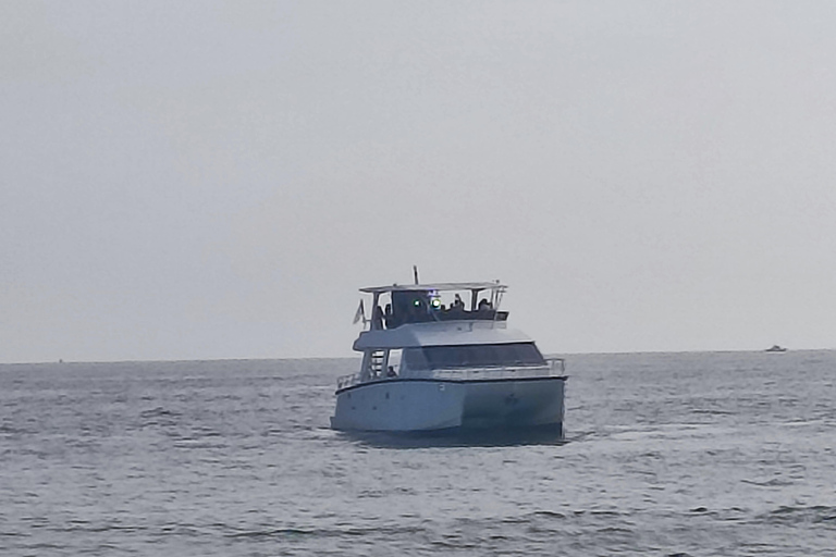 Mirissa: tour in barca con osservazione balene al tramonto e musica