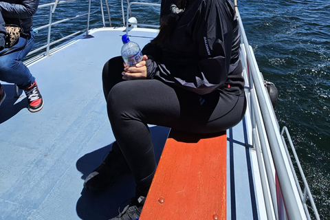 2-Day Tour from Puno: Uros, Amantani, and Taquile Islands