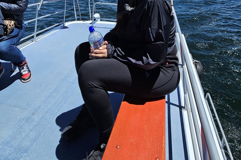 2-Day Tour from Puno: Uros, Amantani, and Taquile Islands