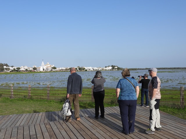 From Seville: Doñana National Park Day Trip