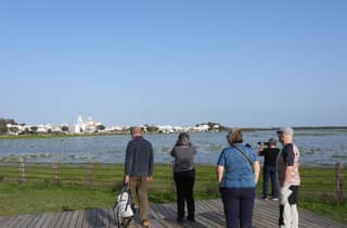 Von Sevilla aus: Tagestour zum Doñana-Nationalpark