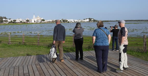From Seville: Doñana National Park Day Trip