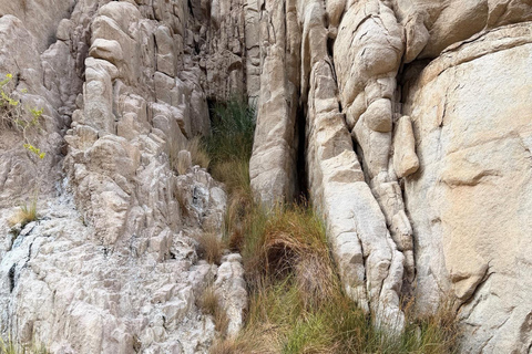 Hurghada: Mount Shaib El Banat Tour with Sandboarding Sand boarding and hiking & camel ride