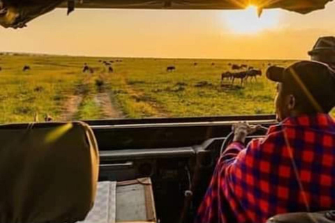 3-dagars safari Zanzibar till Nyerere Park med båt, bil och flyg