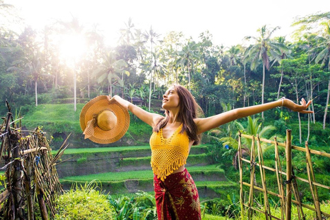 Ubud: Apenbos, Rijstterras, Schommel, Watertempel