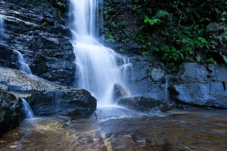 Blue Mountains Active Hike Tour from Sydney: No Rides Sydney: Blue Mountains Active Eco-Hike Tour (No Rides)