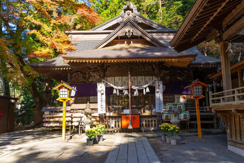 Tokyo: Mt. Fuji Private Scenic Tour with Customizable Stops