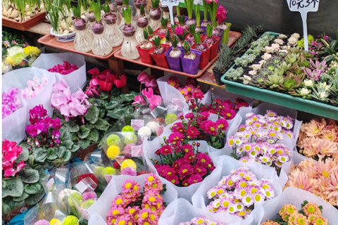 Guiyang : excursion d&#039;une journée à la ville ancienne de Qingyan et au marché aux fleurs