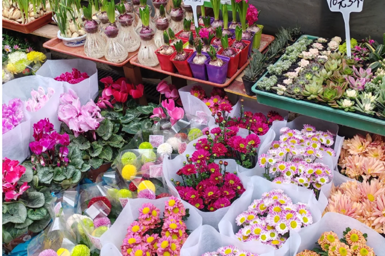 Guiyang : excursion d&#039;une journée à la ville ancienne de Qingyan et au marché aux fleurs