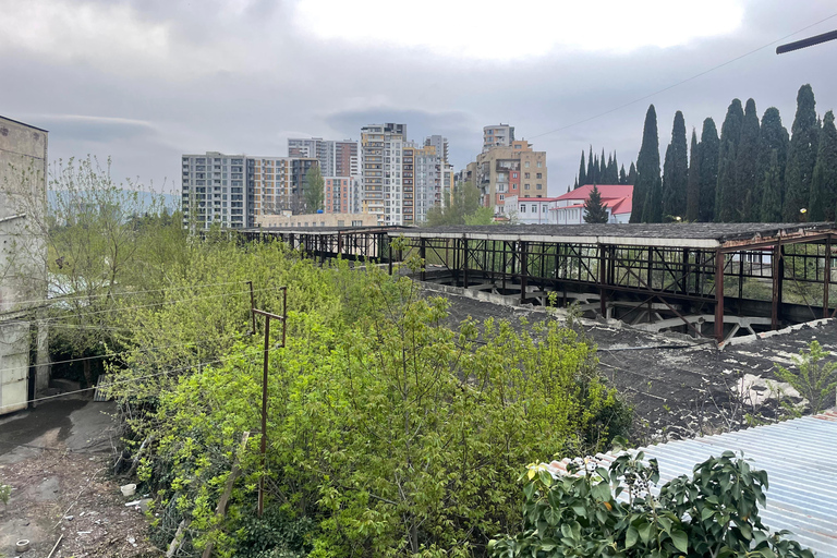 Tbilisi: Alternative Side Walking Tour — Raw, Real & Broken