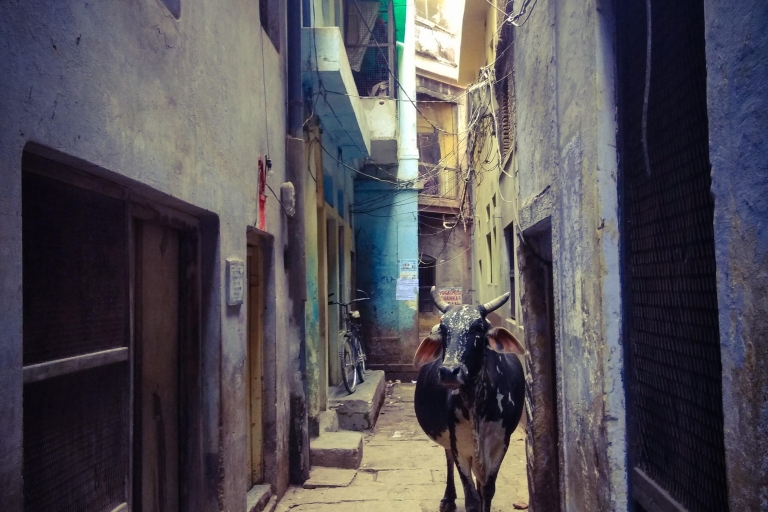 Wycieczka piesza i dziedzictwo Varanasi