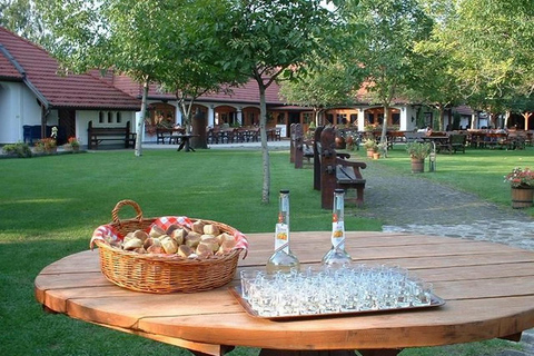 From Budapest: Puszta Horse Show and Countryside Visit Full-Day Puszta Tour (No Pickup)