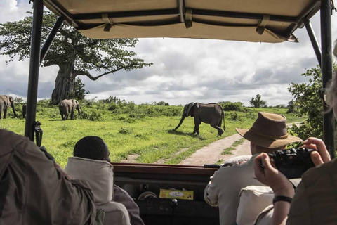 Pakiet 10-dniowego safari na kempingu w Kenii