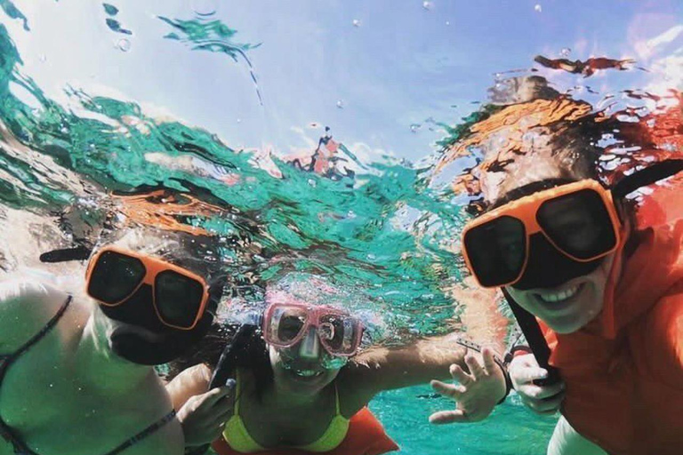 007-Mañana Todo Incluido Nadar con Cerdos en la Isla Rosa007 Todo Incluido-Nadar con cerdos en la Isla Rosa