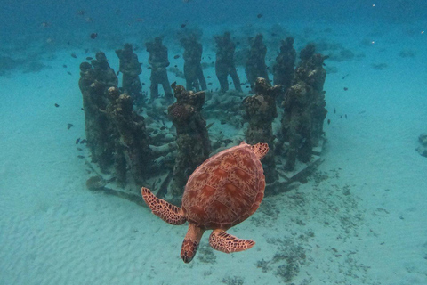 Private Gili Snorkeling Tour: Turtles, Reefs + GoPro & Drone 4 Hour Morning Trip + GoPro & Drone