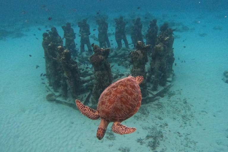 Private Gili Snorkeling Tour: Turtles, Reefs + GoPro & Drone 4 Hour Morning Trip + GoPro & Drone