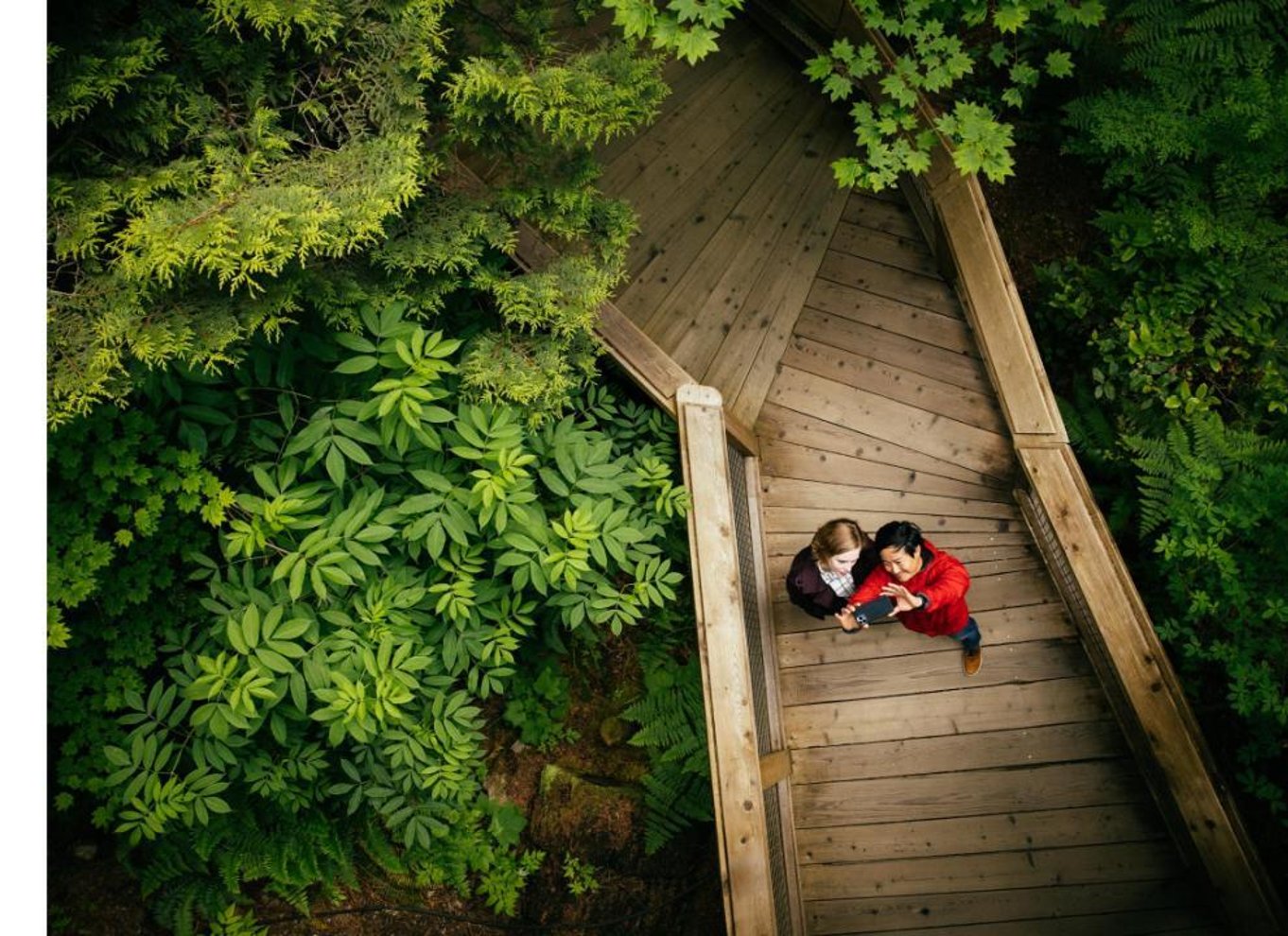 Vancouver: Capilano Suspension Bridge Park billet