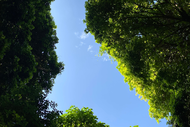 Arba Minch: Dorze Village &amp; Lake Chamo Boot &amp; Tuk Tuk Tour