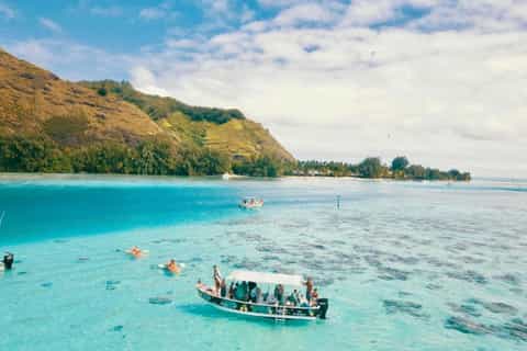 Moorea : excursion snorkeling dans le lagon et le récif avec boissons