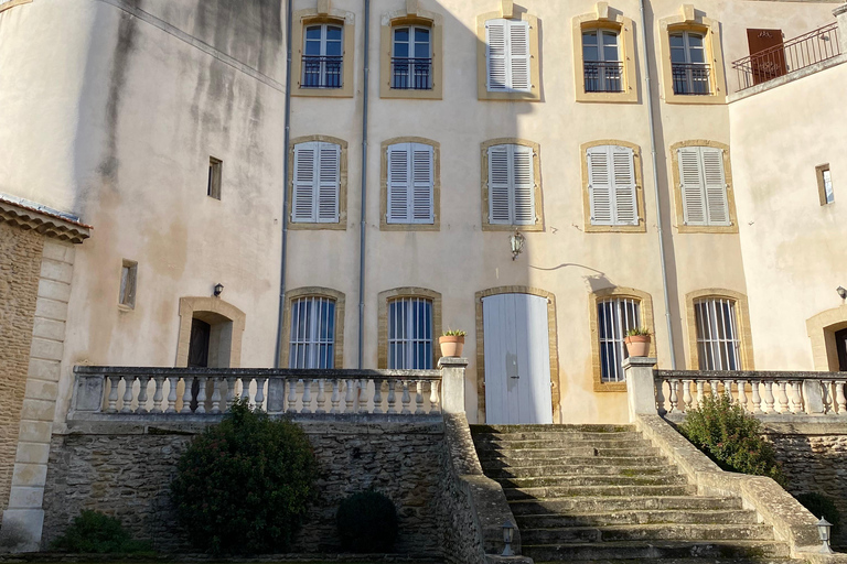 Châteauneuf-du-Pape: Full-day wine tour with sommelier