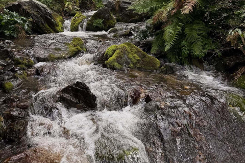 Kazbegi: Gveleti Waterfall 4x4 Jeep Tour & Guided Hike