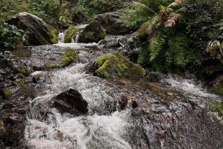 Kazbegi: Gveleti Waterfall 4x4 Jeep Tour & Guided Hike