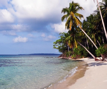 FROM SEMARANG : KARIMUNJAWA ISLAND TOUR