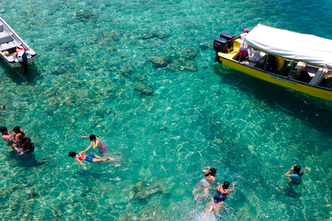 Cartagena: Rosario Oceanarium, Snorkel & Swim with Dolphins Cartagena: Rosario Islands Tour with Oceanarium & Snorkeling