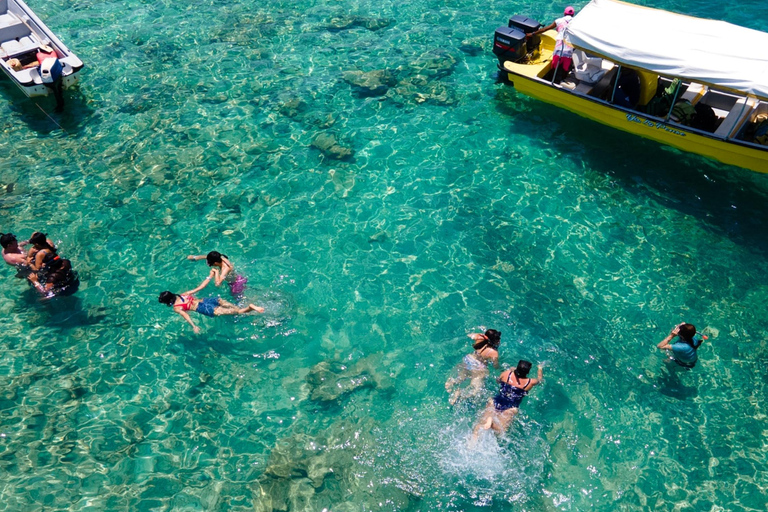 Cartagena: Rosario Oceanarium, Snorkel & Swim with Dolphins Cartagena: Rosario Islands Tour with Oceanarium & Snorkeling