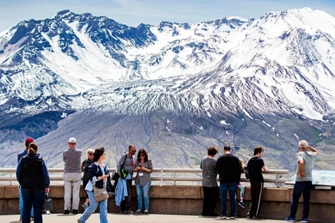 From Seattle: Mt Saint Helen Tour Private Tour