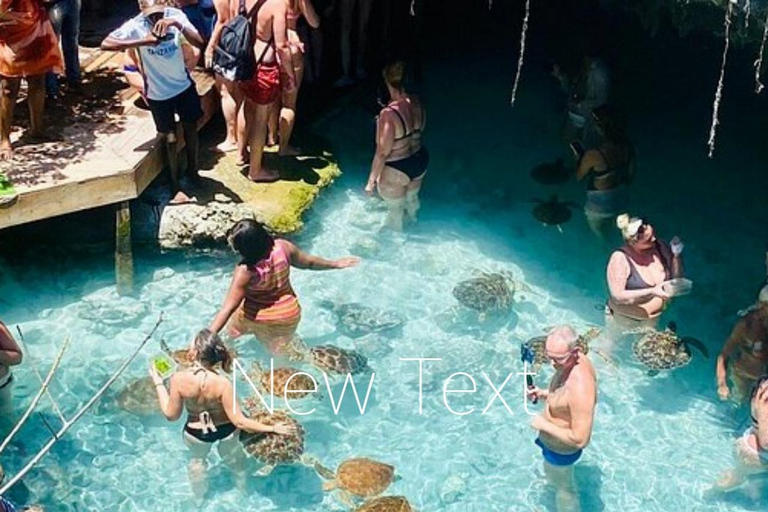 Zanzibar: Jozani Forest, Salaam Cave & The Rock Restaurant Tour with Hotel pick up and hotel drop off at South unguja