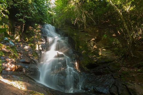 Foz do Iguaçu: Guided Canoeing and Waterfalls Expedition