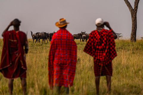 Safari de luxe de 7 jours : Aventure à Samburu, Nakuru et Masai Mara