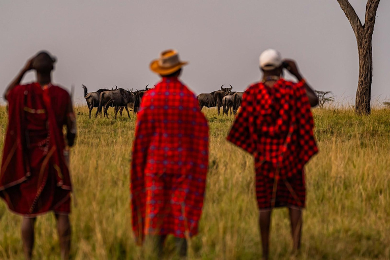 Safari de luxe de 7 jours : Aventure à Samburu, Nakuru et Masai Mara