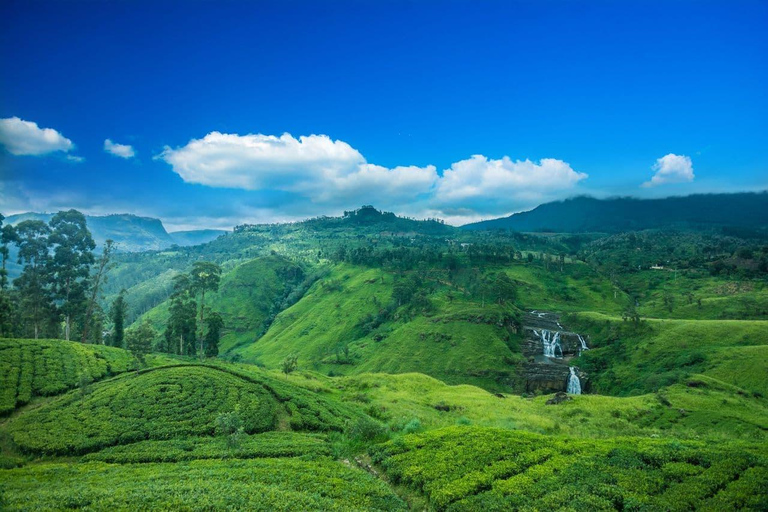 Sri Lanka Excursión de 4 días a Kandy y Nuwara Eliya por el té y las colinas