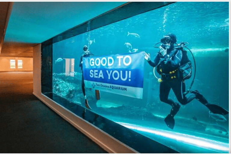 Kapstaden: Robben Island och två Oceans Aquarium dagstur