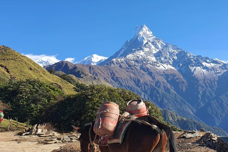 Mardi Himal Guided Private Trekking from Pokhara – 4 Days Mardi Himal Guided Private Trekking from Pokhara – 4 Days