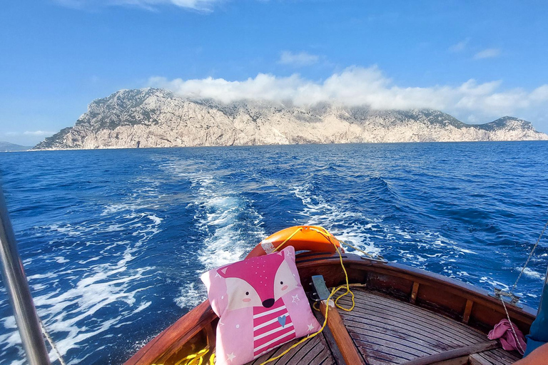 Porto San Paolo: Half Day Boat Tour to Tavolara and Molara