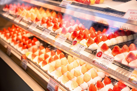 Tokyo: 1-dagars höjdpunkter med privat bil och guide