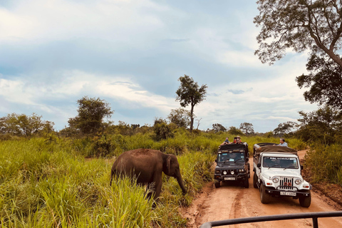 3-Day Sigiriya Tour: Village Experience & Elephant Safari